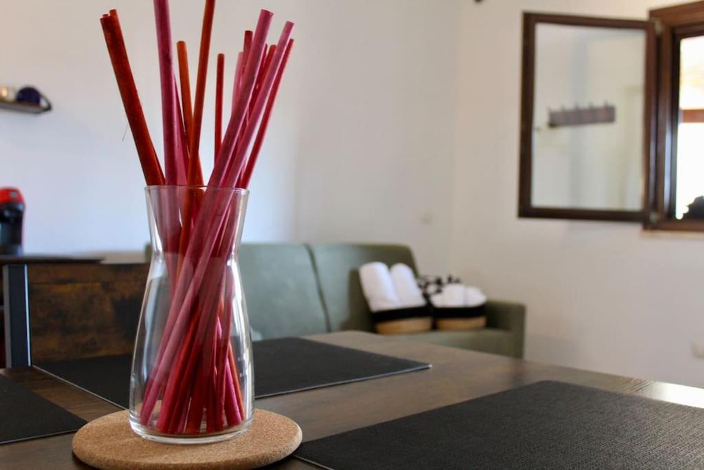 The Garden House Fco, Self Check In And Free Private Parking Apartment Fiumicino Exterior photo